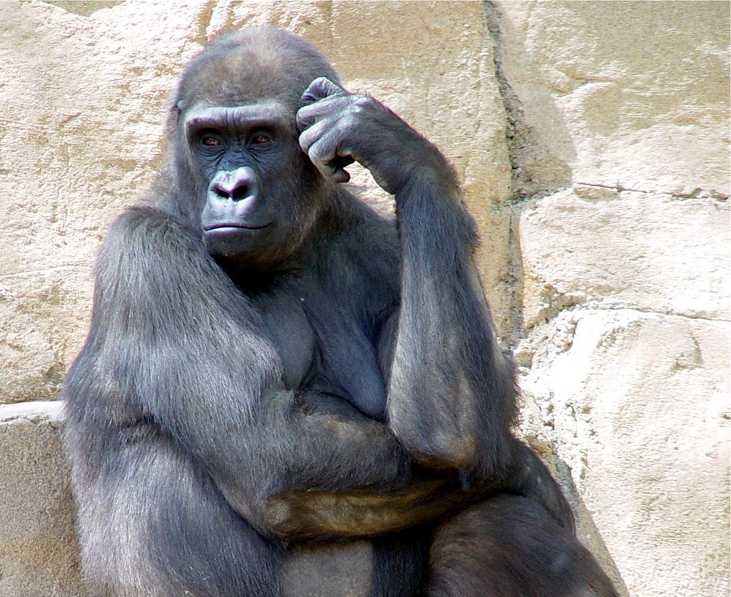 辛さも日本一 登山家が富士山を避ける理由 Co Media コメディア